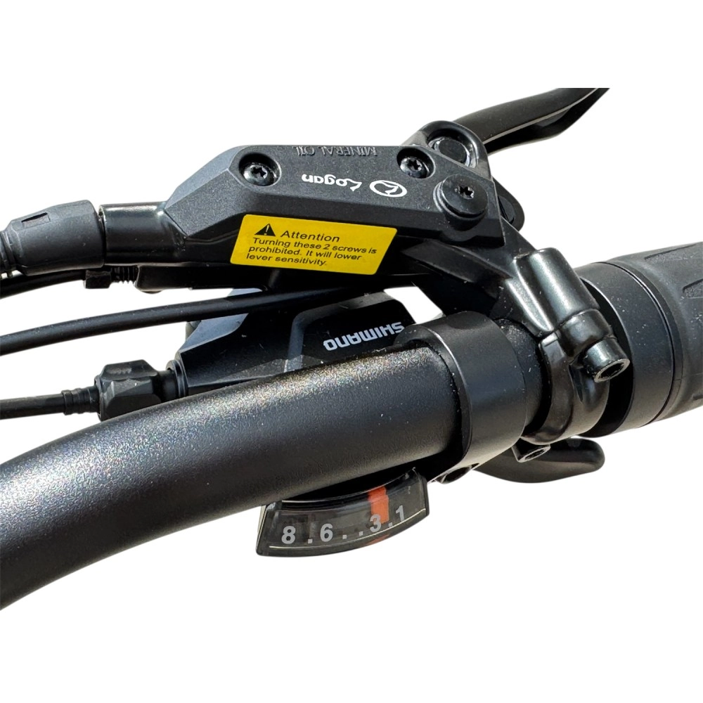 Электровелосипед SmartBalance Hunter Чёрный 12